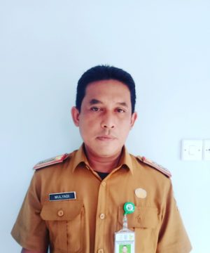 MULYADI MULYADI